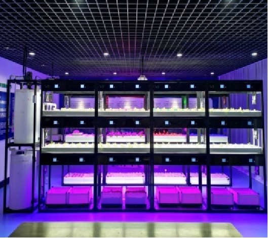 植物工厂与设施农业用智能化装备